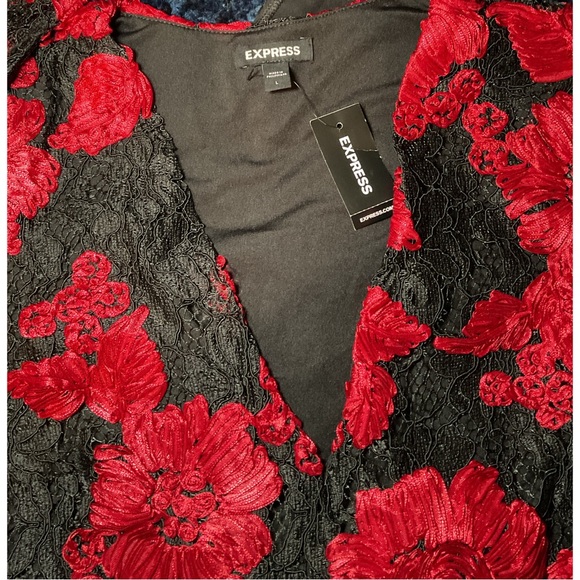 EXPRESS ~Lace Embroidered Thong Bodysuit (NWT) - Picture 3 of 16